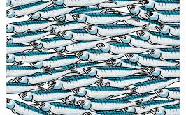 Le premesse delle sardine
