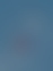 A Letter to Georgetown Student Musicians and Artists