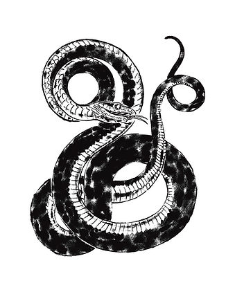 COBRA_CASA_VELHA.jpg