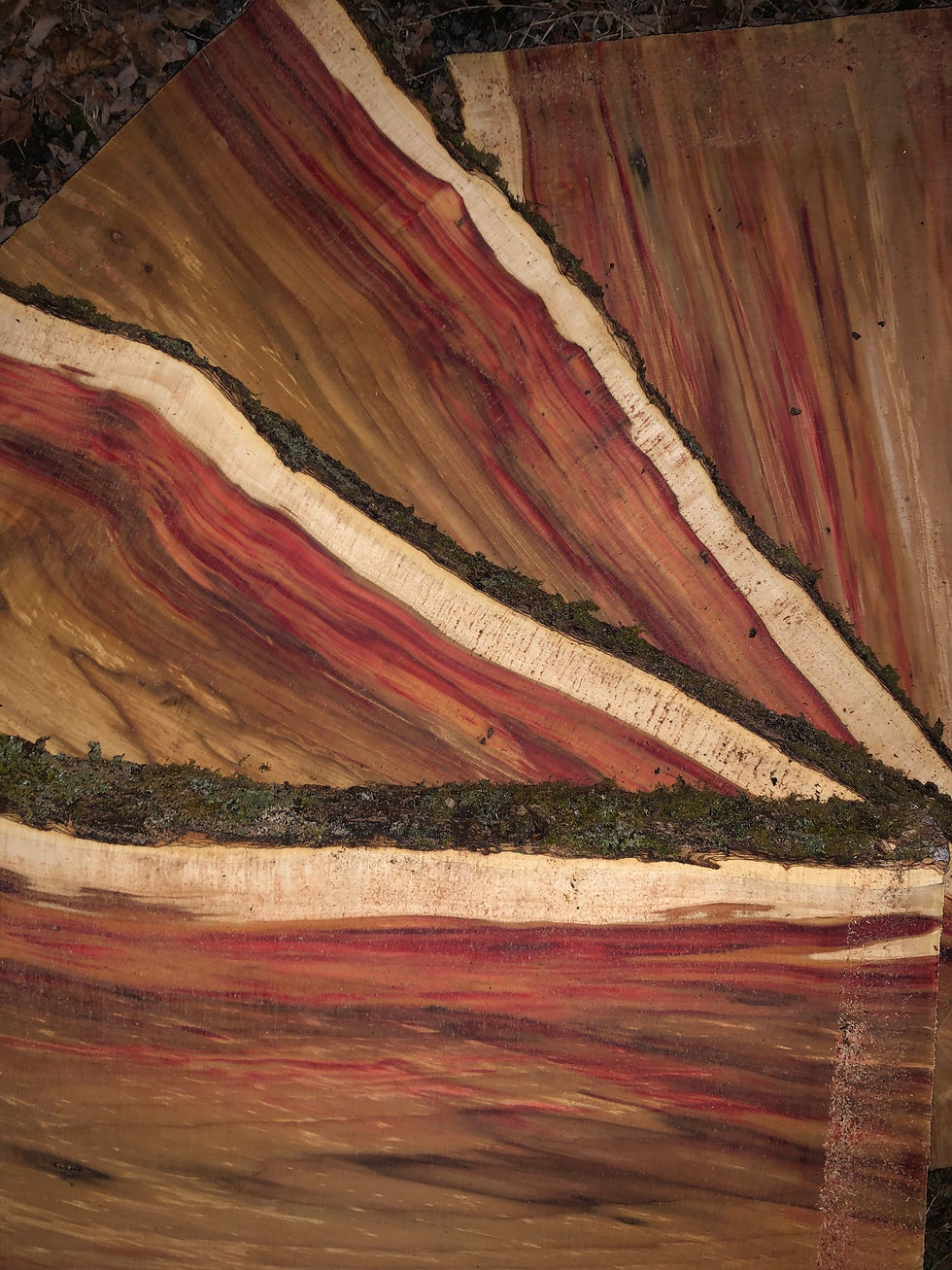 Thumbnail: Flaming Box Elder Board
