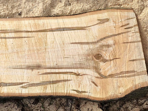 Ambrosia Maple.jpg