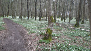 Chasse au trésor 