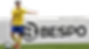 banner-bespo-fc.png