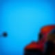 barely visible violin on a blue background.jpg