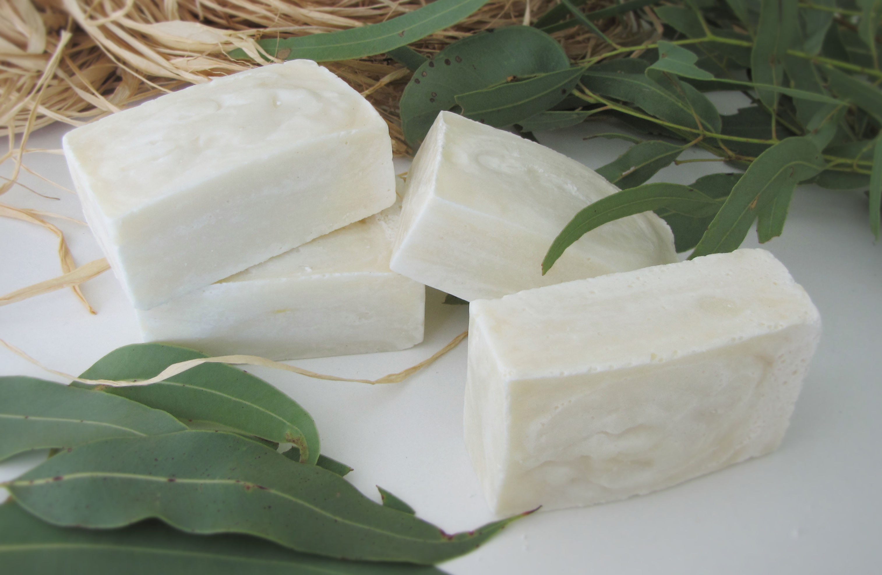 Fresh Eucalyptus Soap Bar