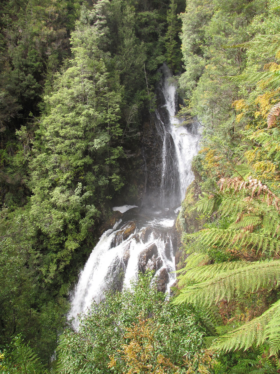 Philosopher Falls - it is so tall the the camera could never take in the whole thing even if the trees were not hiding most of it! These falls are named in honour of James "Philosopher" Smith, who discovered tin at nearby Mt. Bischoff in 1871. This brought great wealth to the Tasmanian economy, and became the second largest tin mine in the world after Cornwall, England, until the mine closed in 1947.