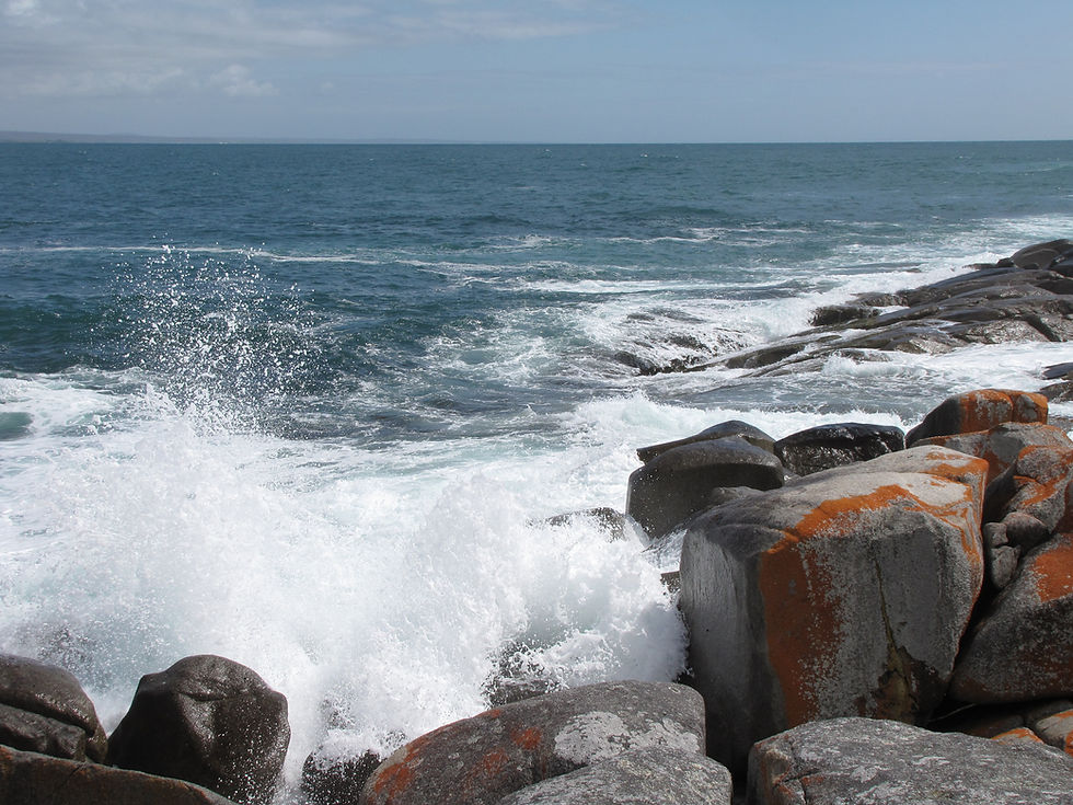 Beach at Bay of Fires Tasmania