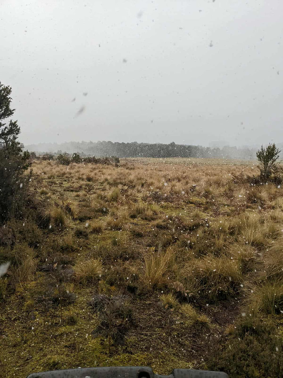 I experienced snow for the first time! It was only a little flurry (it mostly melted when it hit the ground), but it was still very fun - and cold!