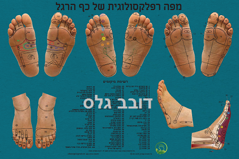 הרצאה על המפה הרפלקסולוגית ועקרונות ההשתקפות של האדם בכף הרגל