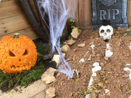 Nocturne Accrobranche Halloween