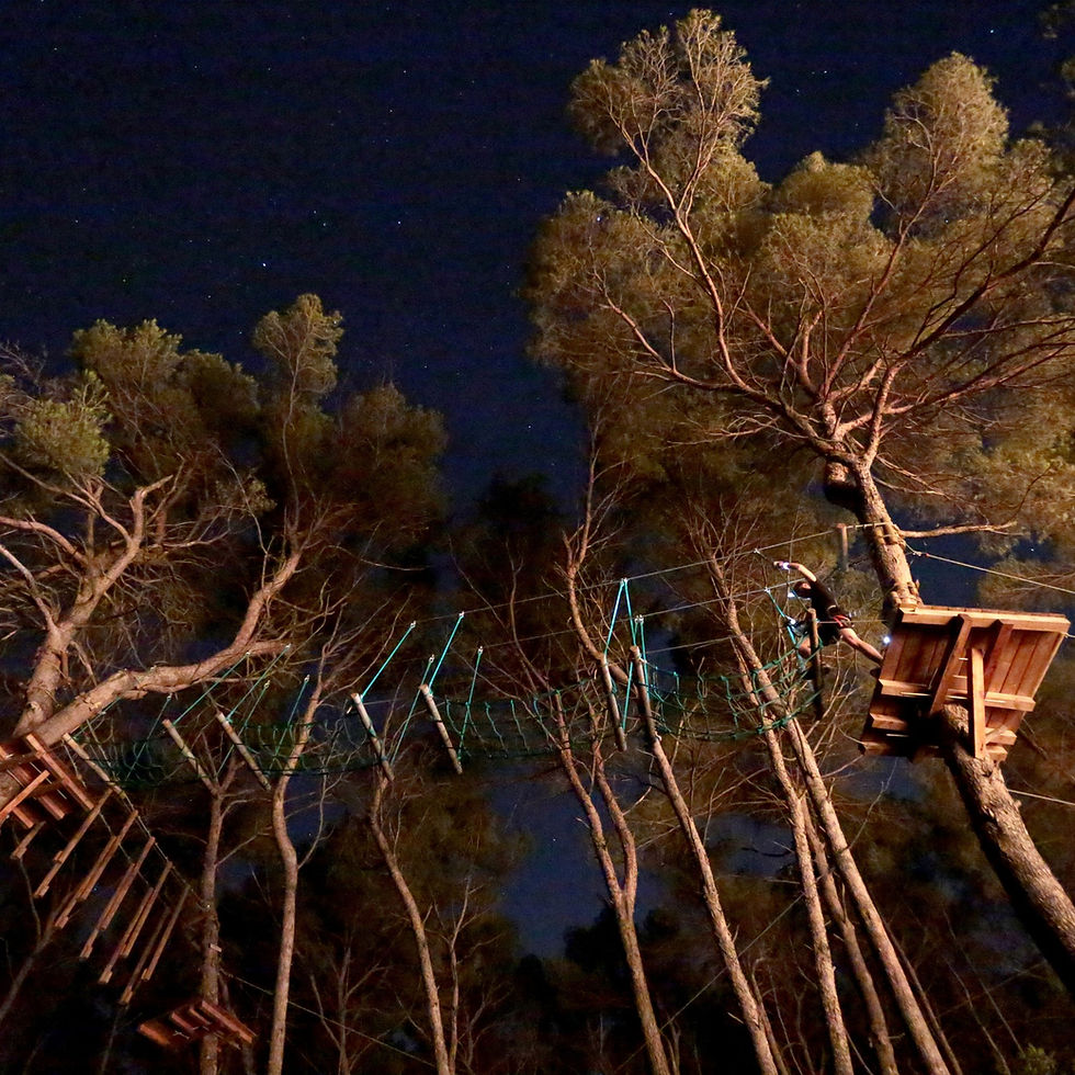 Accrobranche de nuit