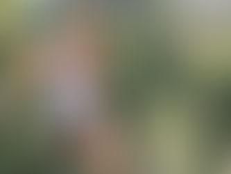 accrobranche marseille fille qui s'amuse dans un filet