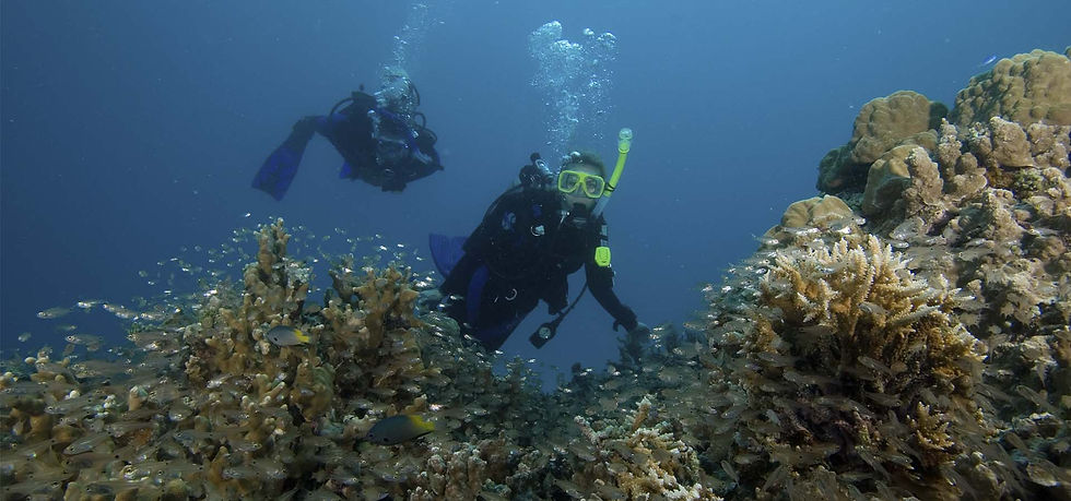 Scuba-Diving-Los-Arcos-OCEANO-ADVENTURES-SAYULITA-1.jpeg