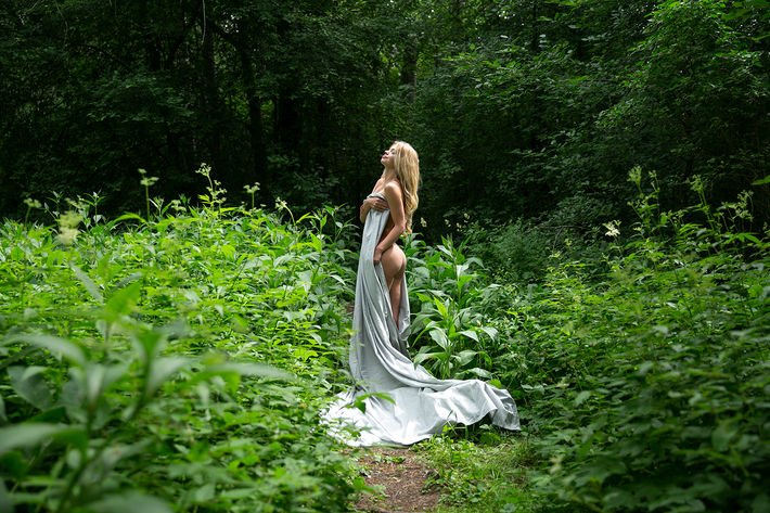 In the Forest