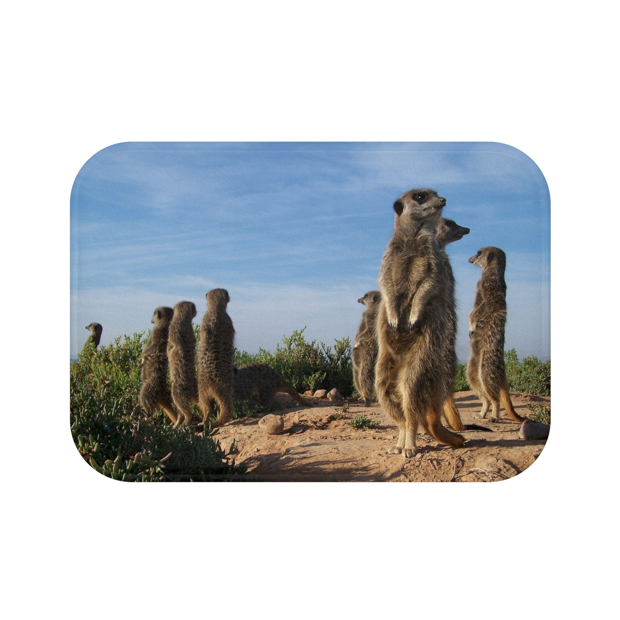 Tappetino da bagno Suricati