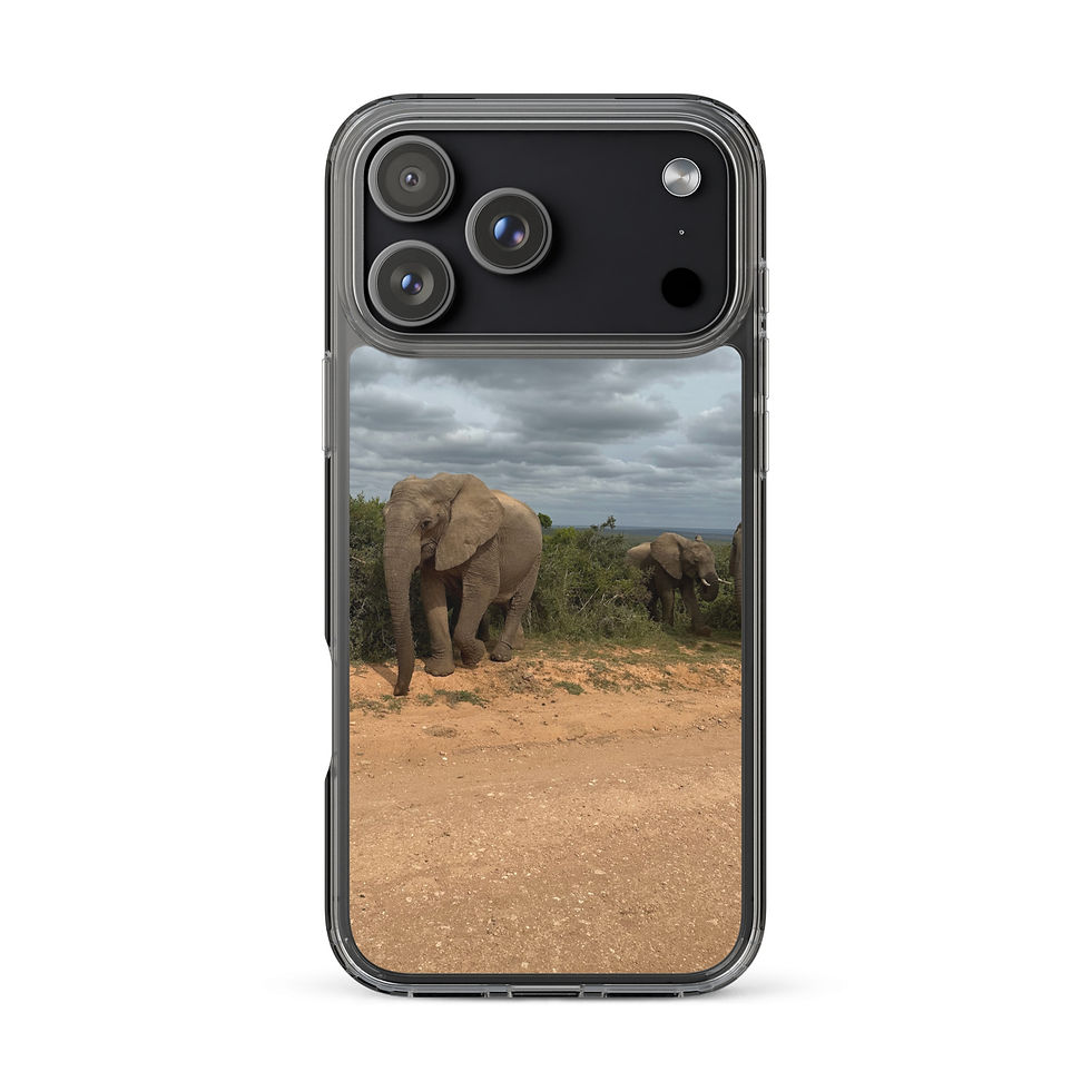 Miniatura: Cover iPhone 17 Elefante