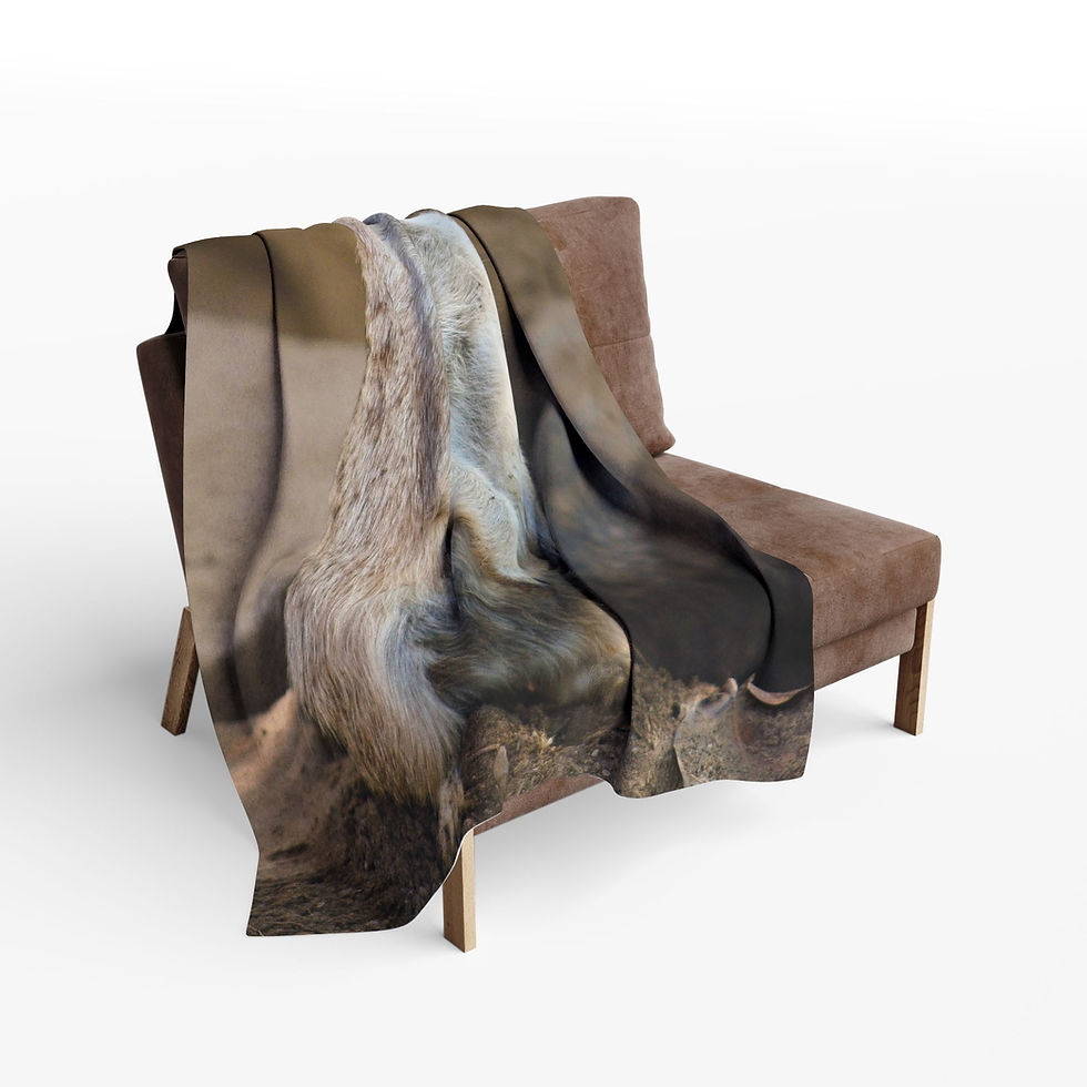 Miniatura: Coperta in pile suricati