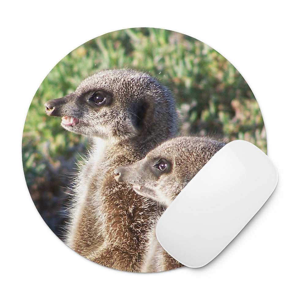 Miniatura: Tappetino Mouse Suricati