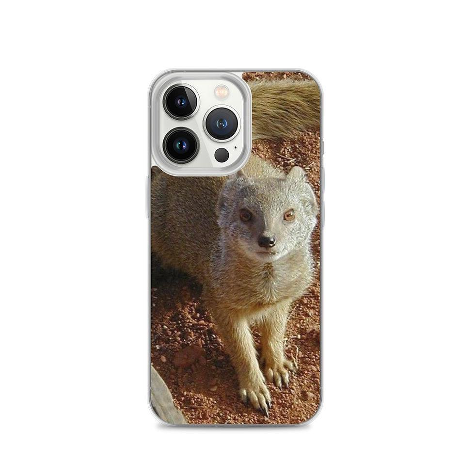 Miniatura: Cover IPhone 13 Mangusta