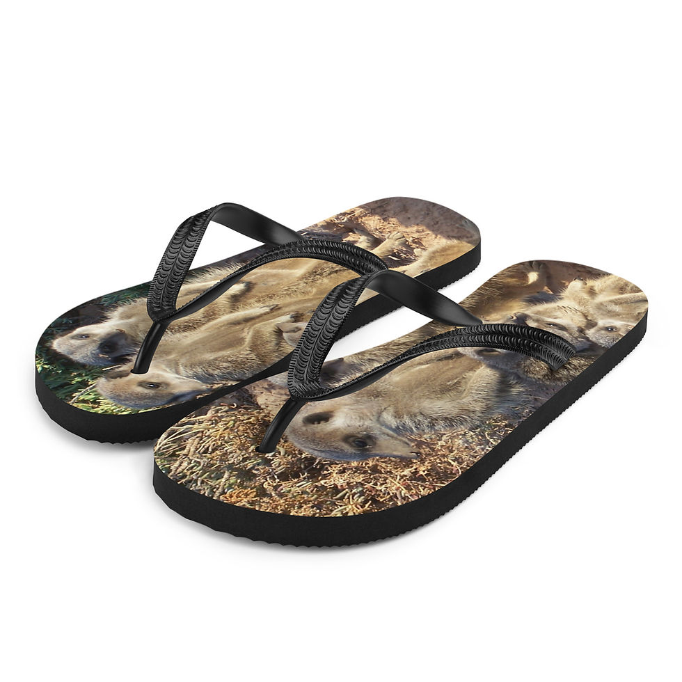 Miniatura: Infradito Suricato