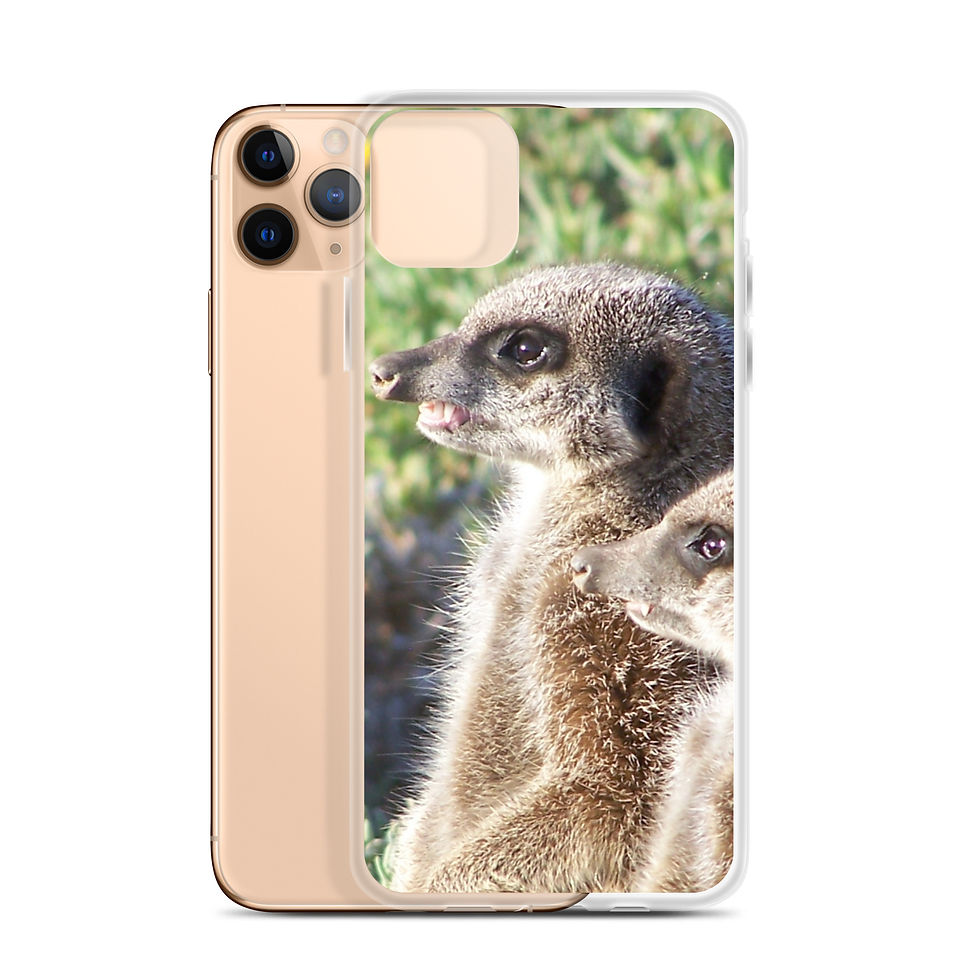 Miniatura: Cover iPhone 11 Suricato