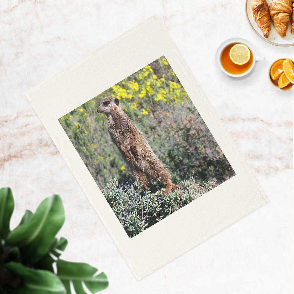 Miniatura: Strofinaccio Suricato