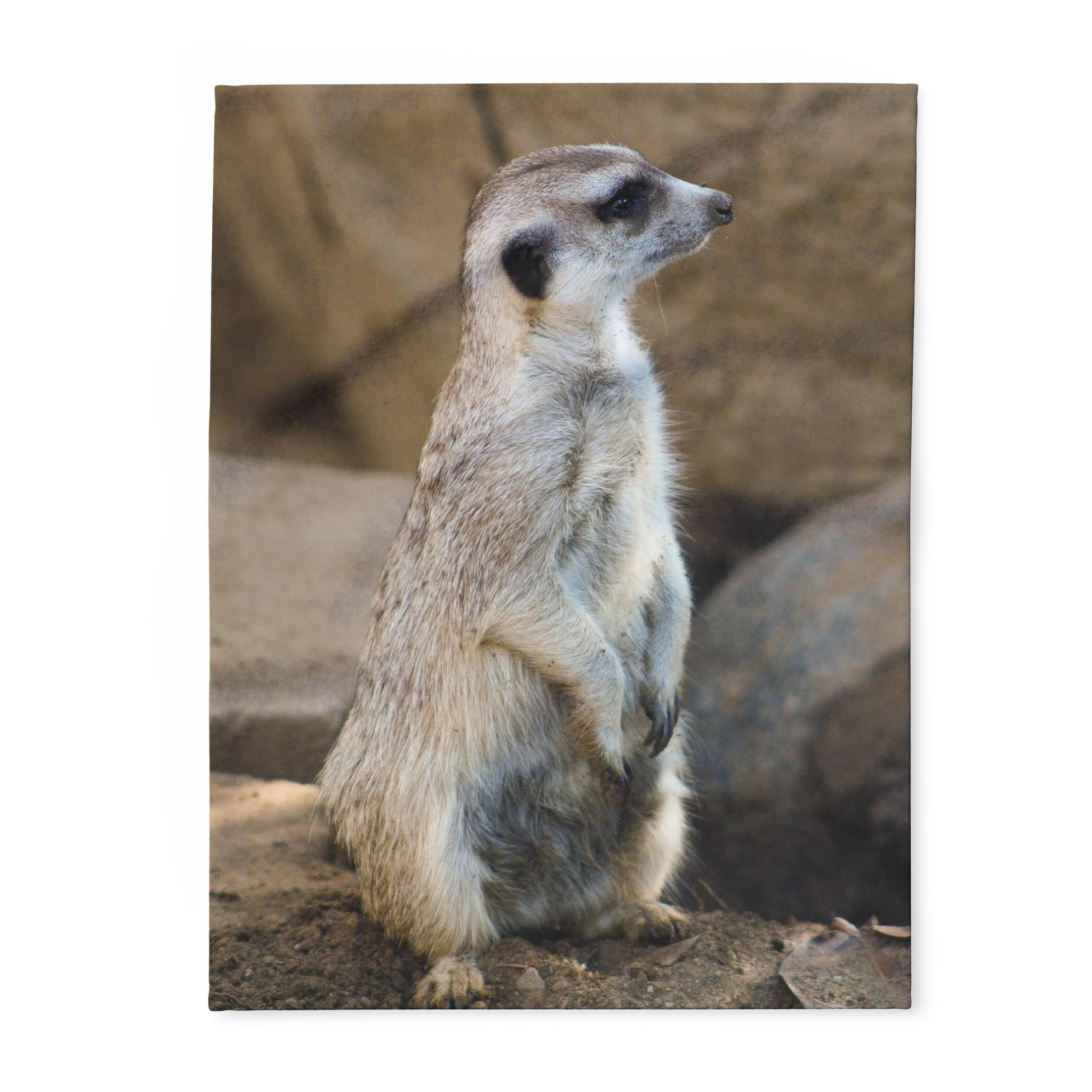 Coperta in pile suricati