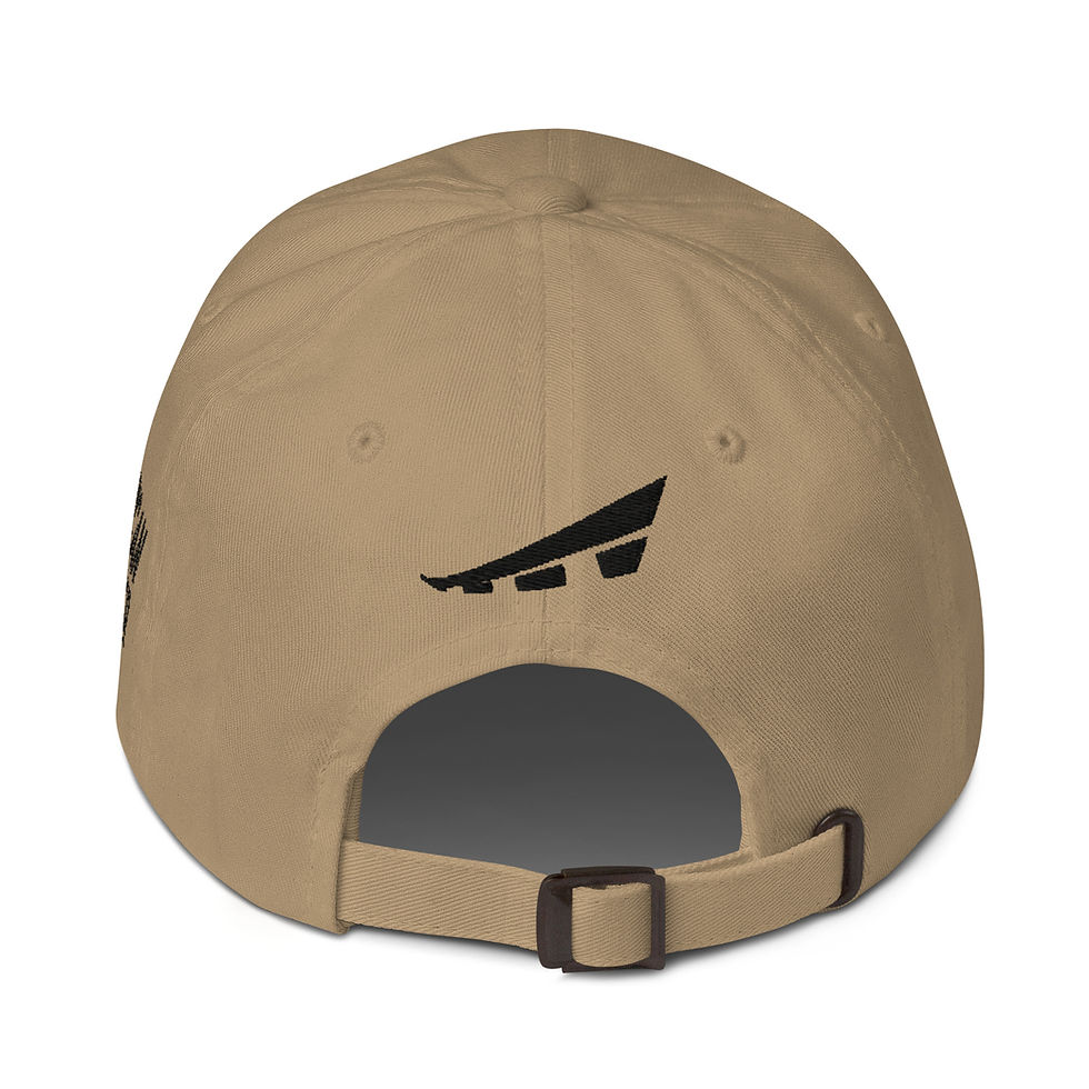 Thumbnail: American Airpower USAF Fighters Dad Hat