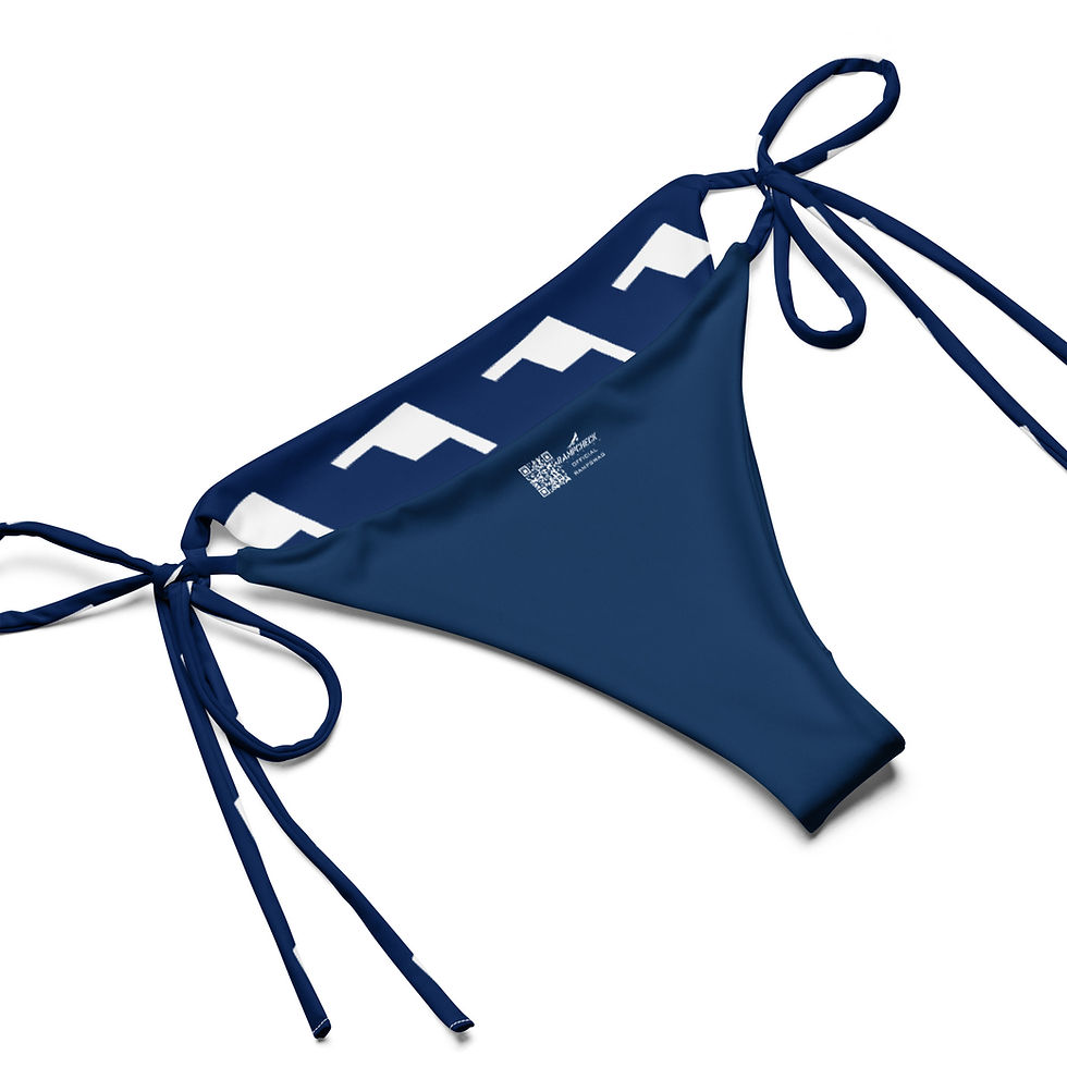 Thumbnail: Americana Raiders and Stripes String Bikini