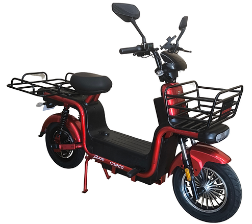 ZINI CARGO 1000.png