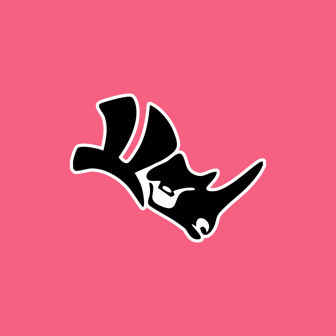 Rhino Introduction to Intermediate 3 Day Weekend Course