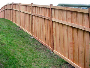 Privacy Fence