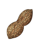 WebsitePeanut_V001.png
