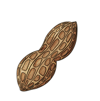 WebsitePeanut_V001.png