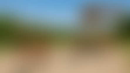 Zoo w Pradze z dziećmi – idealna przygoda dla całej rodziny