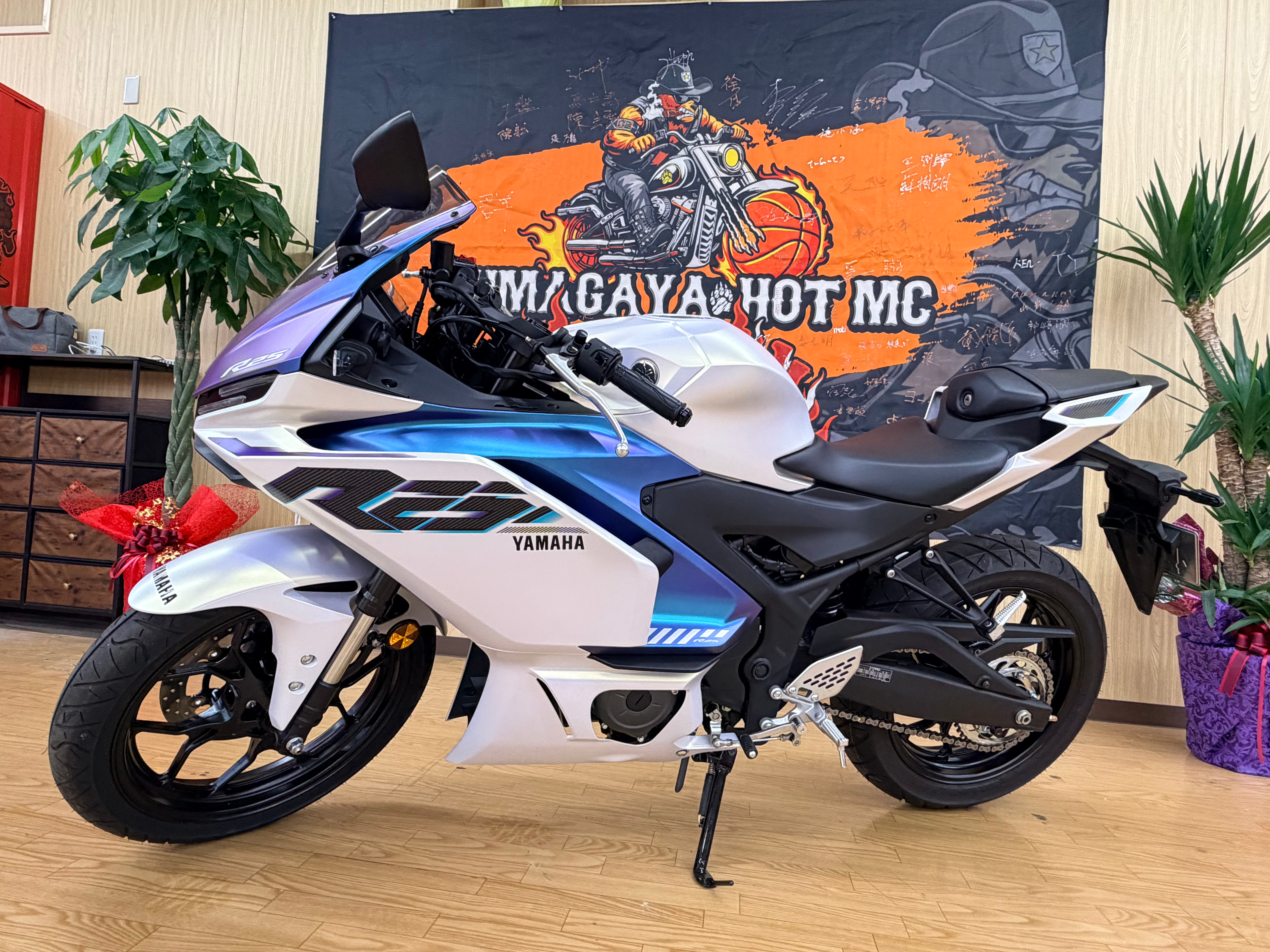 YAMAHA YZF-R25