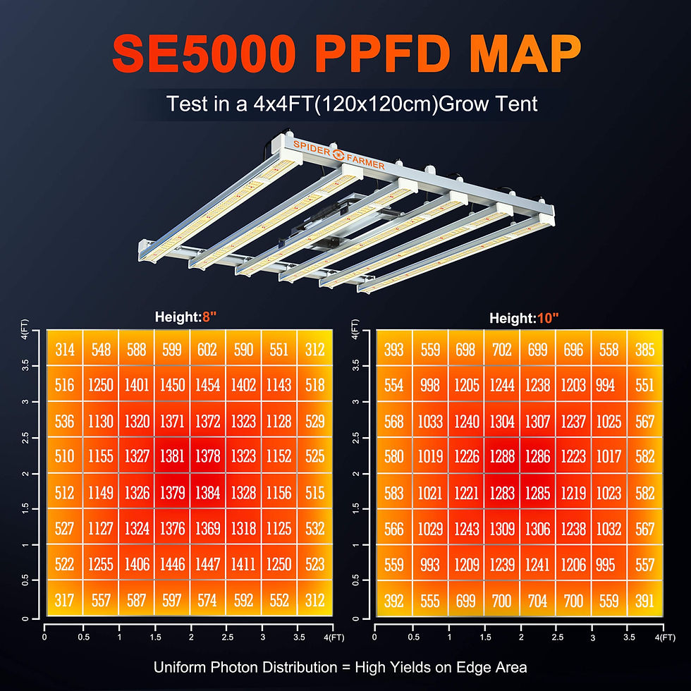 SPIDER FARMER SE5000 480W Led
