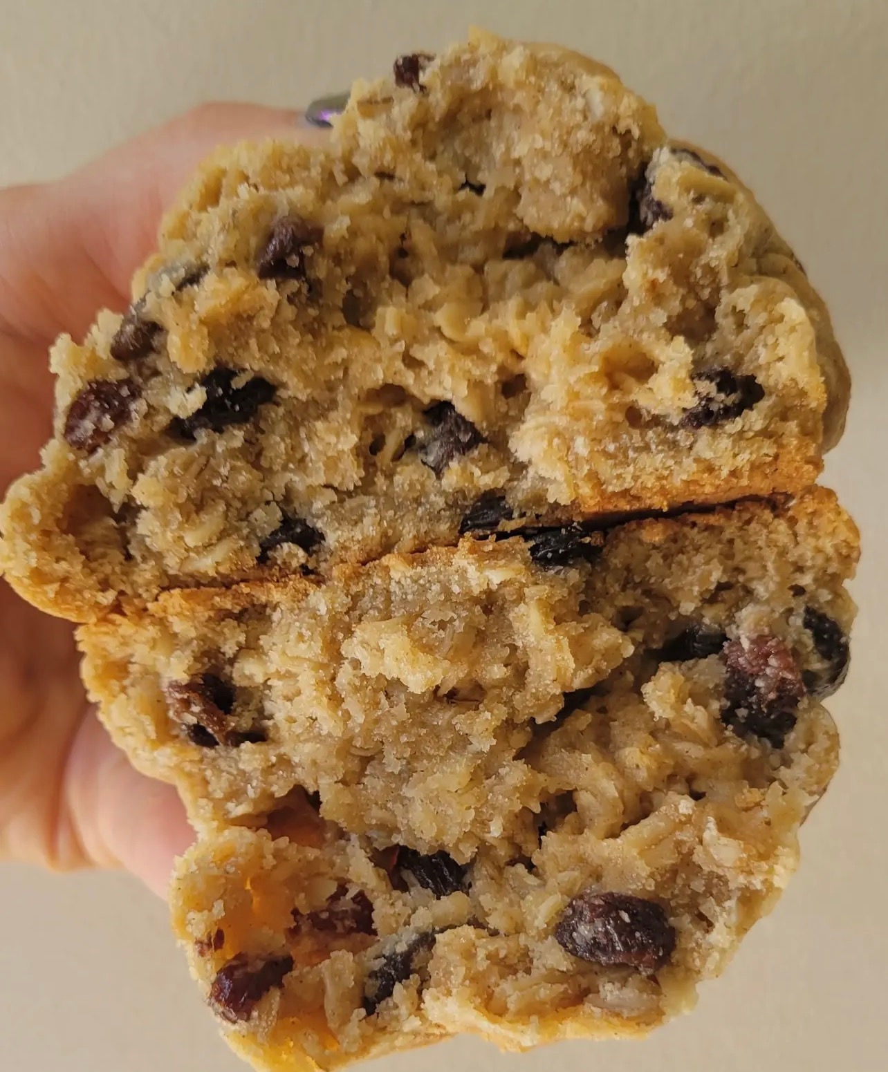 Oatmeal Raisin Cookie
