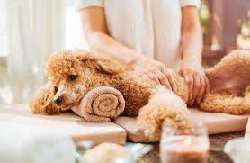 Pampering Pet Spray