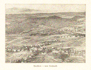 Weißstein von Hochwald, 1926