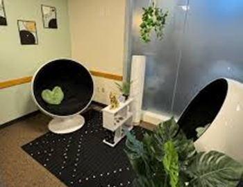 The Zen Den Is a Great Place for Students, But It Has Flaws