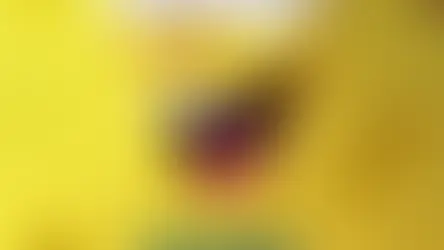 Upcoming Movie: Search for SquarePants