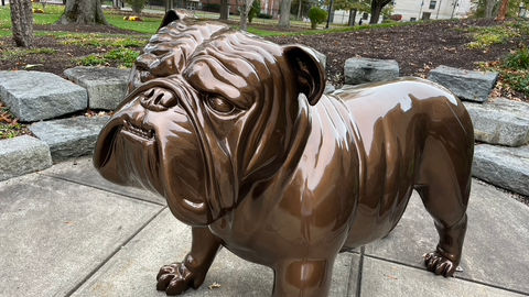 That's All Folks: Thinking Back and Looking Forward