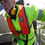 縮圖：Survitec Seacrewsader Lifejacket 275N SOLAS 自動充氣式救生衣