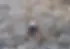 rock climbing