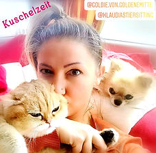 @KlaudiasTiersitting_-_Coach_Goldene_Mit