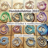 Chihuahua Hundeleine Rückdämpfer Set von Shop Klaudias-Tiersitting Huta und Hundepension