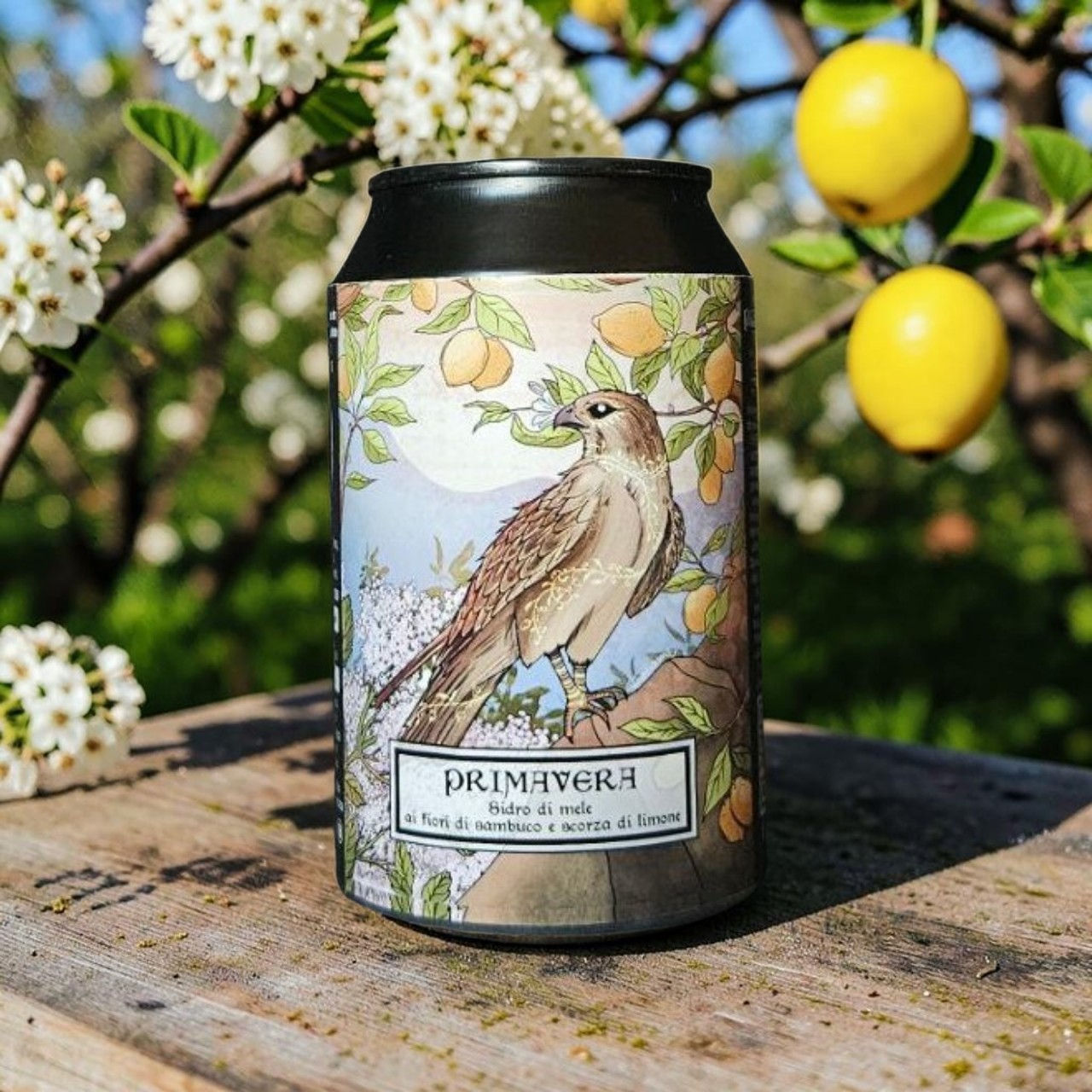 PRIMAVERA Sidro di Mele, Fiori di sambuco e limone