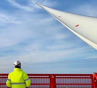 Copy of Untitled Design (1).png