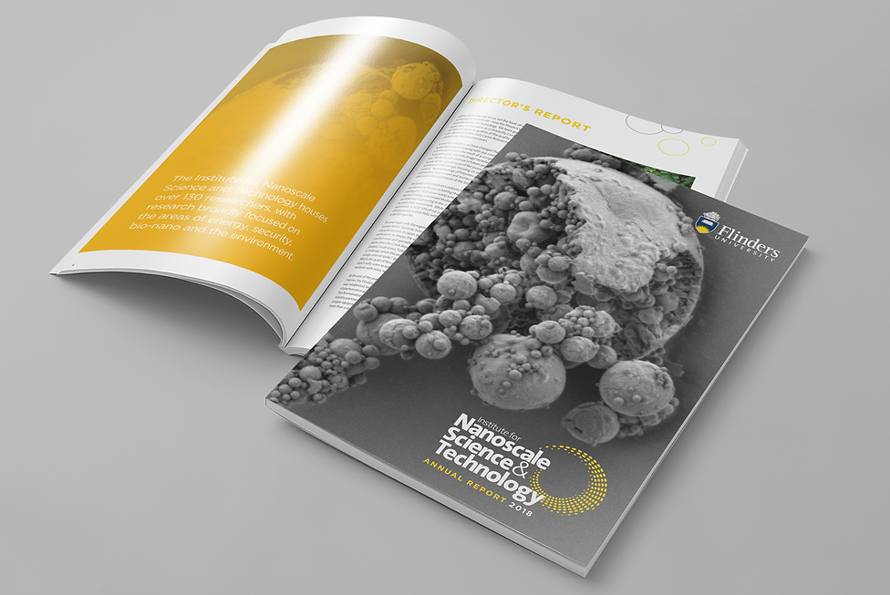Nanotech Book